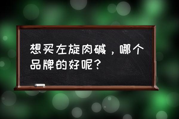 左旋肉碱哪有卖的 想买左旋肉碱，哪个品牌的好呢？