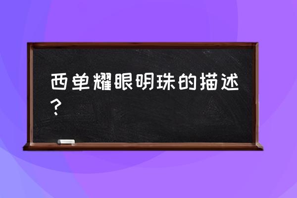 西单明珠大厦 西单耀眼明珠的描述？