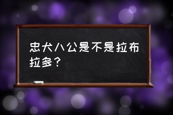 忠犬八公那条狗叫什么 忠犬八公是不是拉布拉多？