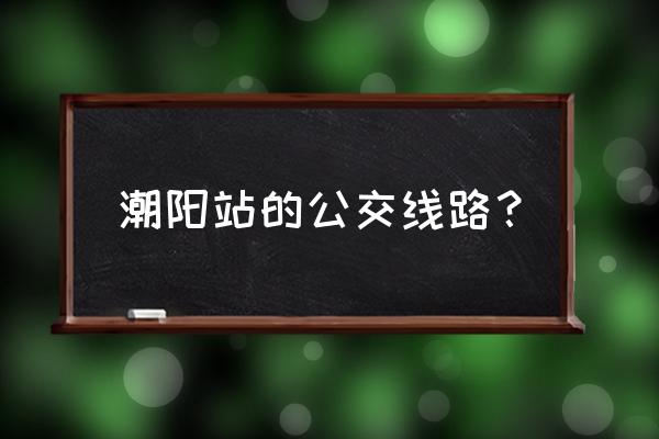 潮阳307路公交车路线 潮阳站的公交线路？