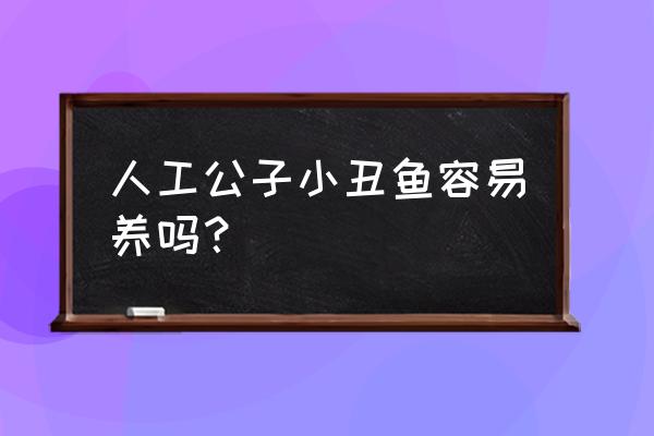 人工小丑鱼怎么养 人工公子小丑鱼容易养吗？