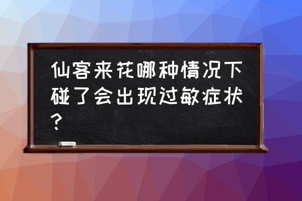 仙客来花有没有毒 仙客来花哪种情况下碰了会出现过敏症状？