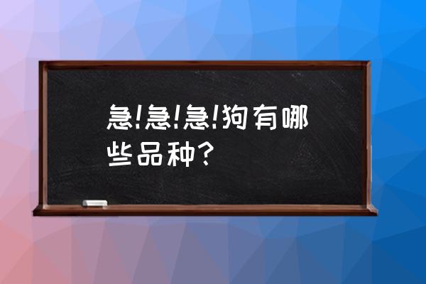 博洛尼亚犬与哈瓦那犬 急!急!急!狗有哪些品种？