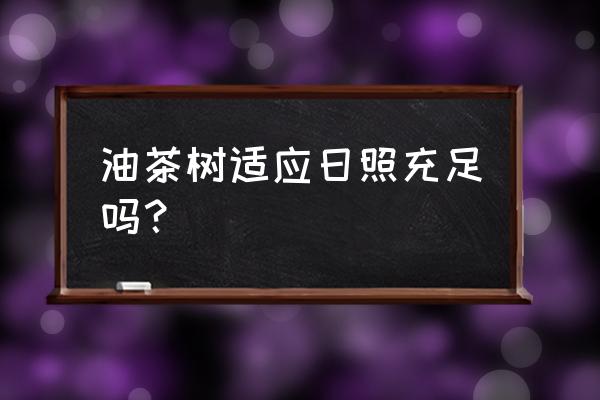 红花油茶对阳光要求 油茶树适应日照充足吗？