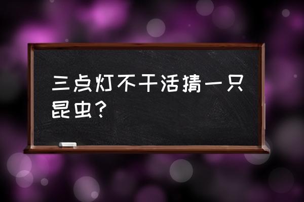 大姐用针不用线打一种动物 三点灯不干活猜一只昆虫？