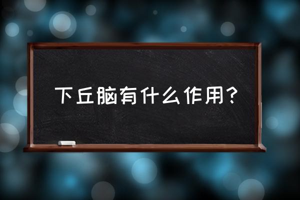 脑垂体的作用和位置 下丘脑有什么作用？