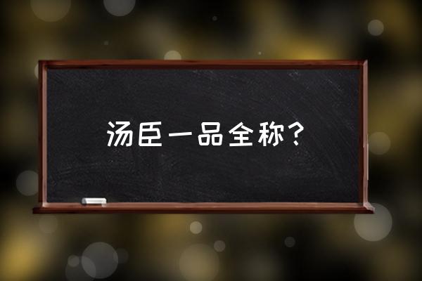 汤臣豪园和汤臣一品 汤臣一品全称？