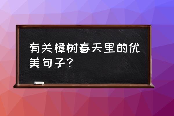 樟树央央春天 有关樟树春天里的优美句子？