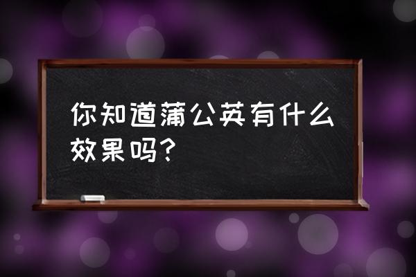 蒲公英的功效和禁忌 你知道蒲公英有什么效果吗？