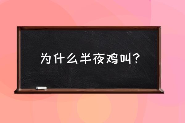 半夜鸡一直叫什么原因 为什么半夜鸡叫？