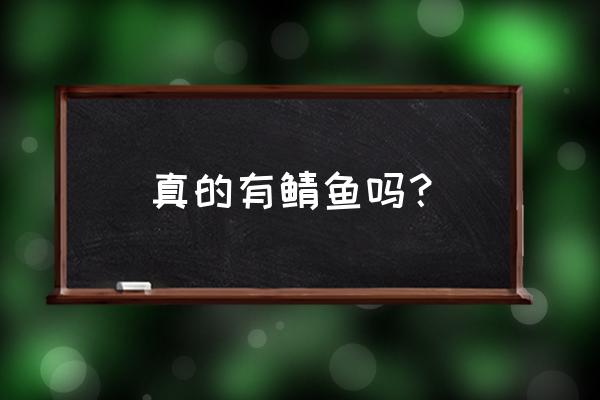 黑鳞鲛人真的存在 真的有鲭鱼吗？