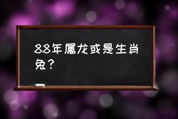 1988年属什么 88年属龙或是生肖兔？