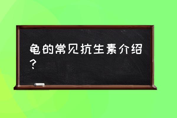 吃金施尔康有什么好处 龟的常见抗生素介绍？