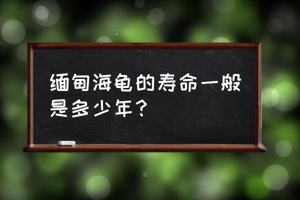 缅甸陆龟 2021 缅甸海龟的寿命一般是多少年？