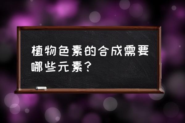 叶绿素a元素 植物色素的合成需要哪些元素？