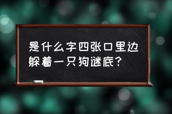 四个口里面住着一只狗 是什么字四张口里边躲着一只狗谜底？