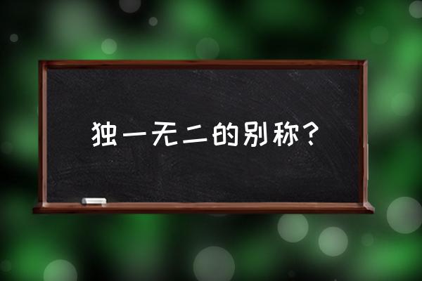 独一无二 的释义 独一无二的别称？