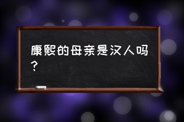 康熙生母是汉人吗 康熙的母亲是汉人吗？