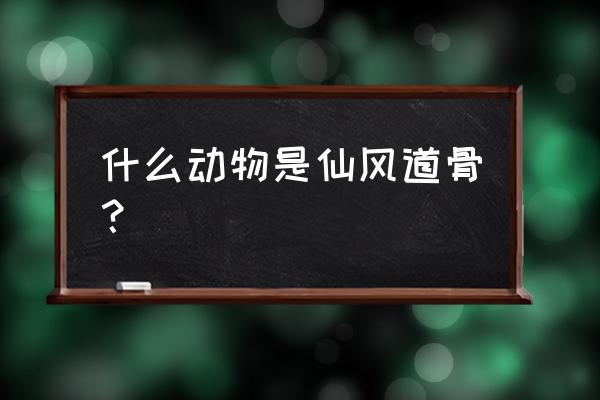 道骨仙风的动物 什么动物是仙风道骨？