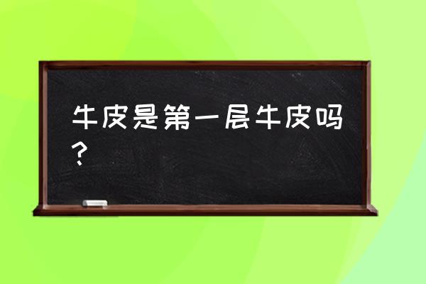 头层牛皮是不是真皮 牛皮是第一层牛皮吗？