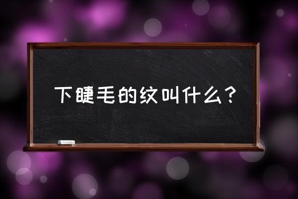 眼下面的皱纹是什么皱纹 下睫毛的纹叫什么？