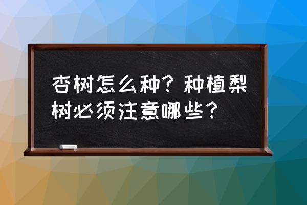 坂植由梨子 杏树怎么种？种植梨树必须注意哪些？