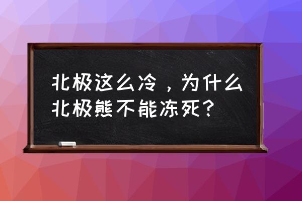 为什么北极熊在北极不怕冷 北极这么冷，为什么北极熊不能冻死？