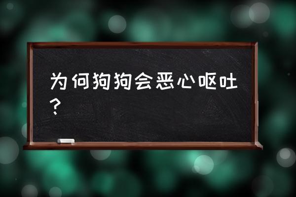 小狗为什么会呕吐 为何狗狗会恶心呕吐？