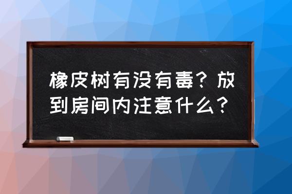 橡皮树有毒没毒 橡皮树有没有毒？放到房间内注意什么？