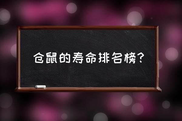 仓鼠寿命一般多久 仓鼠的寿命排名榜？