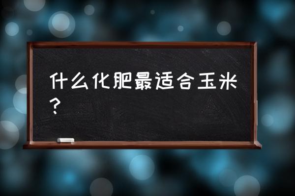 最好的玉米专用肥 什么化肥最适合玉米？