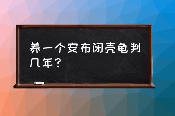 野生安布闭壳龟 养一个安布闭壳龟判几年？