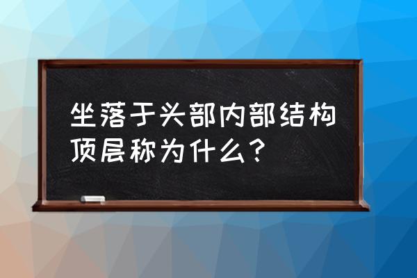 背侧丘脑位置 坐落于头部内部结构顶层称为什么？