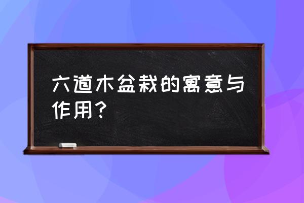 大花六道木简介 六道木盆栽的寓意与作用？