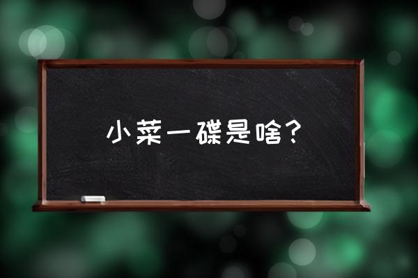 《小菜一碟》 小菜一碟是啥？