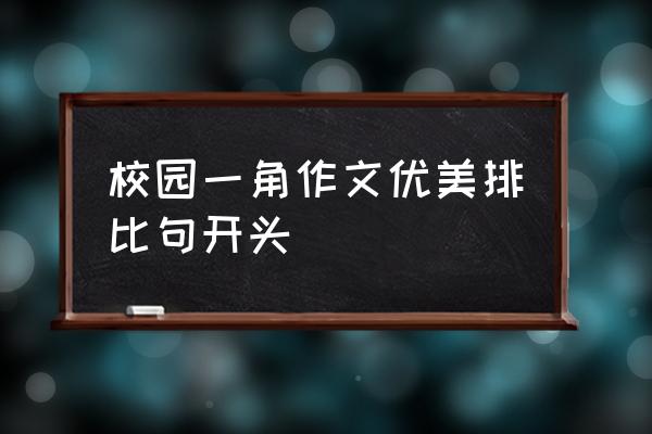 最美校园一角 校园一角作文优美排比句开头