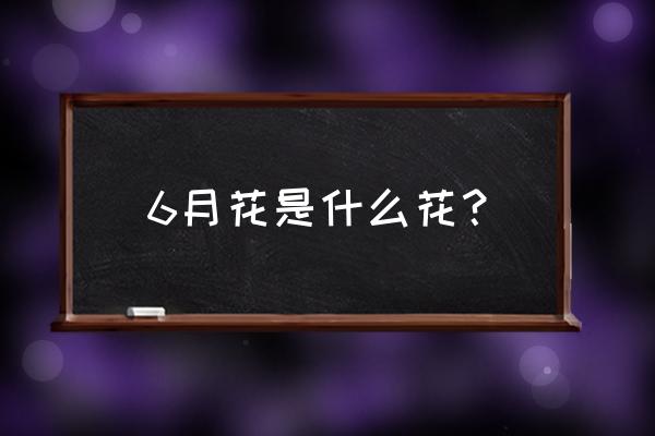 六月开的花都有什么花 6月花是什么花？