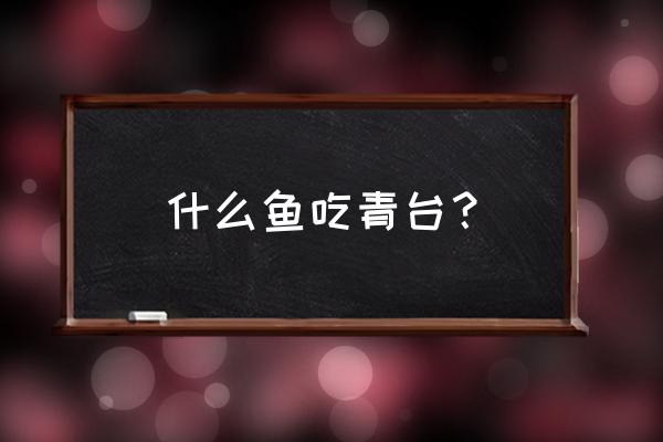 铜绿微囊藻特征 什么鱼吃青台？