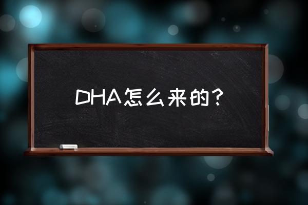 富含dha的素食 DHA怎么来的？