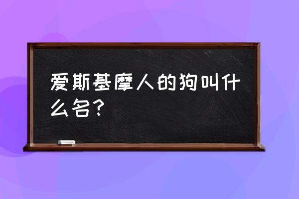 爱斯基摩犬种类 爱斯基摩人的狗叫什么名？