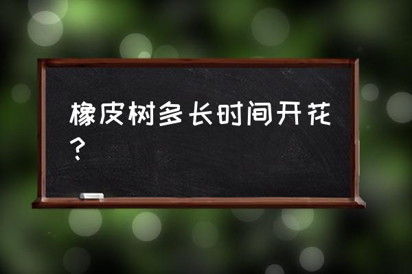 橡皮树开花是什么样子的 橡皮树多长时间开花？