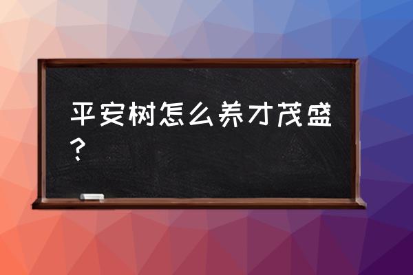 平安树怎么养才茂盛 平安树怎么养才茂盛？