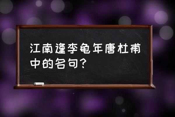 江南逢李龟年名句 江南逢李龟年唐杜甫中的名句？