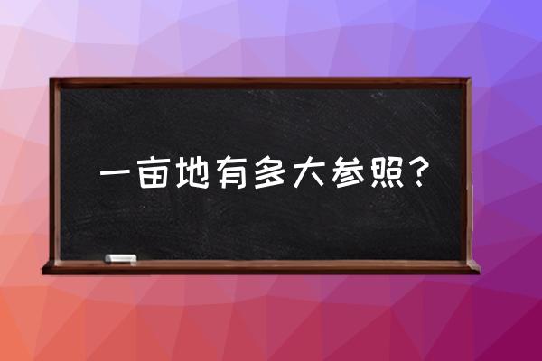 一亩地有多少平方面积 一亩地有多大参照？