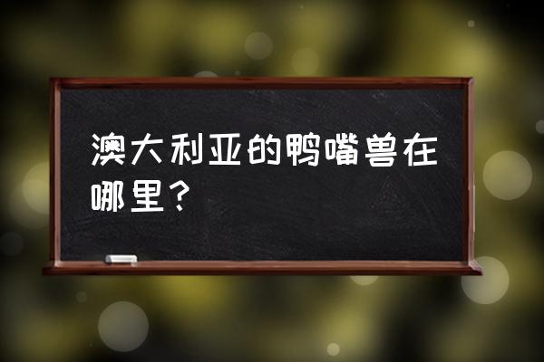 鸭嘴兽泰瑞在哪里1.7.1 澳大利亚的鸭嘴兽在哪里？