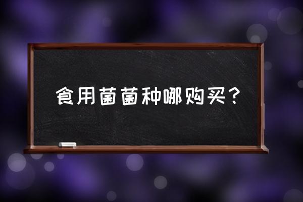 菌种保藏单位 食用菌菌种哪购买？