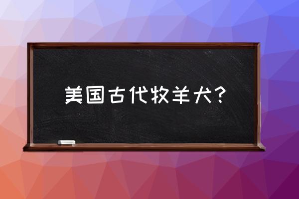 古代英国牧羊犬优缺点 美国古代牧羊犬？