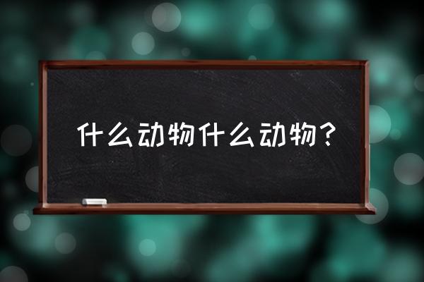 一马当先是什么动物 什么动物什么动物？