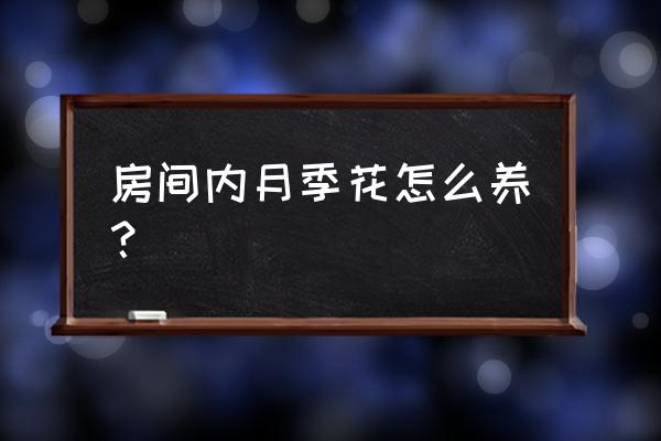 月季花怎么养家庭养法 房间内月季花怎么养？