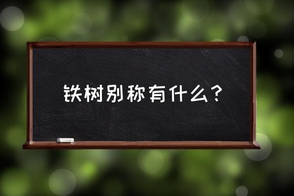 铁树一叶别名 铁树别称有什么？